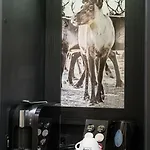 ラップランド ホテル オウル