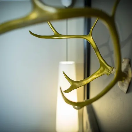 Hotel Lapland 4*